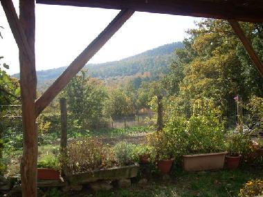 Ferienwohnung in Salutio (Arezzo) oder Ferienwohnung oder Ferienhaus