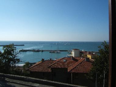  Aussicht von der Strasse vor dem Haus
