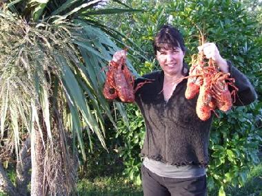 Ferienhaus in Tolaga Bay (Wairoa) oder Ferienwohnung oder Ferienhaus
