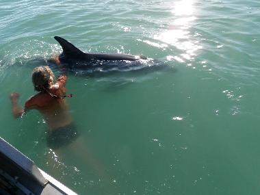Ferienhaus in Tolaga Bay (Wairoa) oder Ferienwohnung oder Ferienhaus