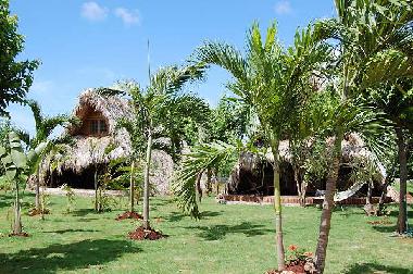 Chalet in Las Galeras - Saman� (Samana) oder Ferienwohnung oder Ferienhaus