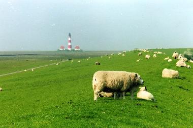 Deichbewohner