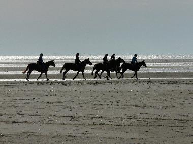 Bilder am Strand
