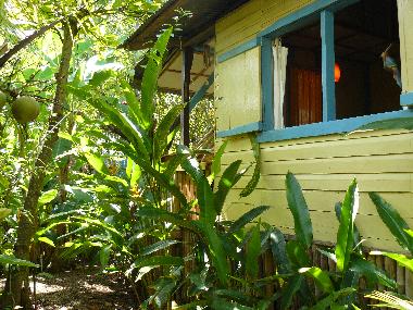 Ferienhaus in Bocas (Bocas del Toro) oder Ferienwohnung oder Ferienhaus