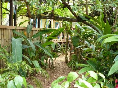 Ferienhaus in Bocas (Bocas del Toro) oder Ferienwohnung oder Ferienhaus