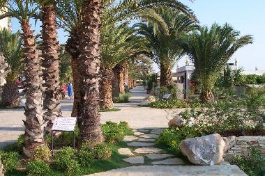 Ferienwohnung in Cossignano (Ascoli Piceno) oder Ferienwohnung oder Ferienhaus