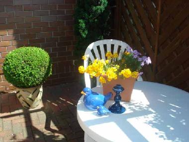 Ferienwohnung in Ostseebad Dierhagen (Fischland-Dar�-Zingst) oder Ferienwohnung oder Ferienhaus