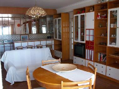 Ferienwohnung in Barra (Baixo Vouga) oder Ferienwohnung oder Ferienhaus
