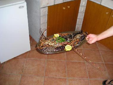 Ferienwohnung in Molunat  (Dubrovacko-Neretvanska) oder Ferienwohnung oder Ferienhaus