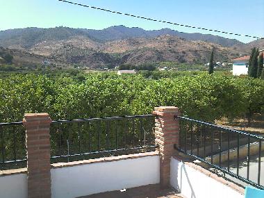 Aussicht von Terrasse �ber den Orangenhain