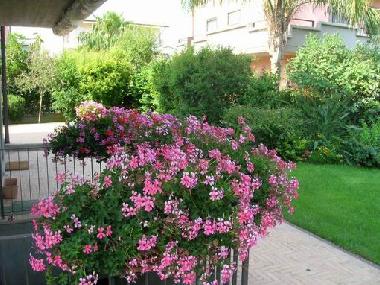 Ferienwohnung in Soverato-Davoli.... (Catanzaro) oder Ferienwohnung oder Ferienhaus