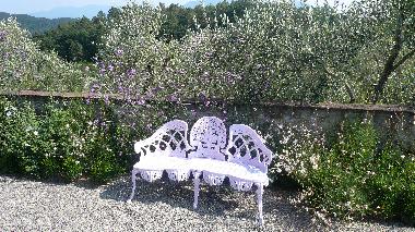 Ferienhaus in Lucca (Lucca) oder Ferienwohnung oder Ferienhaus