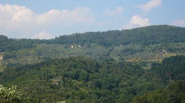 Ferienhaus in Lucca (Lucca) oder Ferienwohnung oder Ferienhaus