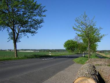 Kurz hinter Oberndorf in Richtung Wingst