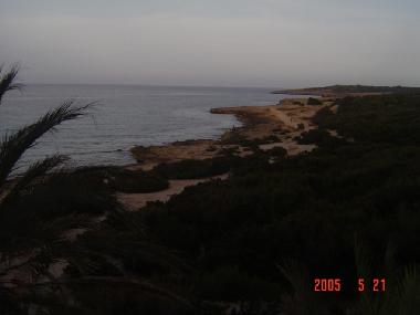 Ferienwohnung in cala millor - mallorca (Mallorca) oder Ferienwohnung oder Ferienhaus