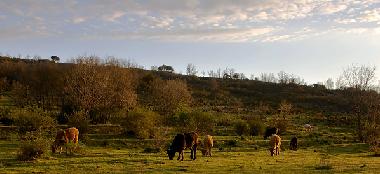 Chalet in La Hiruela (Madrid) oder Ferienwohnung oder Ferienhaus