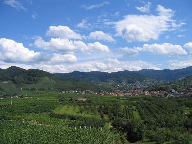 Zwischen Schwarzwald und der Rheinebene