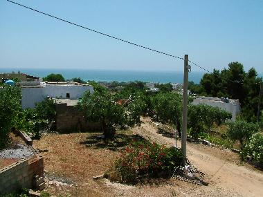 Ferienhaus in Pescoluse (Lecce) oder Ferienwohnung oder Ferienhaus