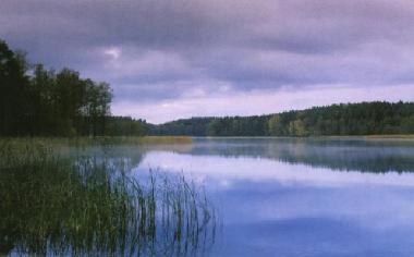 Pension in Jeleniewo (Podlaskie) oder Ferienwohnung oder Ferienhaus