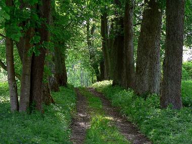 Pension in Jeleniewo (Podlaskie) oder Ferienwohnung oder Ferienhaus