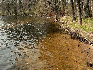 Pension in Jeleniewo (Podlaskie) oder Ferienwohnung oder Ferienhaus