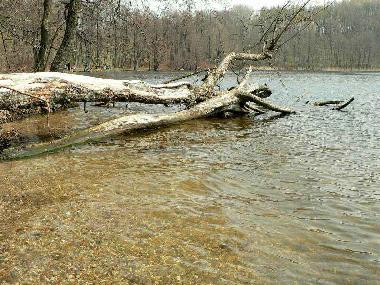 Pension in Jeleniewo (Podlaskie) oder Ferienwohnung oder Ferienhaus