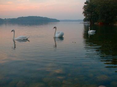 Pension in Jeleniewo (Podlaskie) oder Ferienwohnung oder Ferienhaus