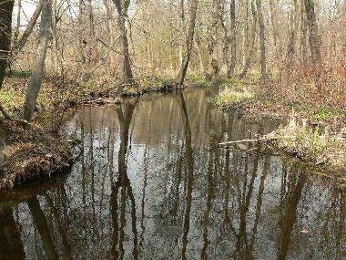 Pension in Jeleniewo (Podlaskie) oder Ferienwohnung oder Ferienhaus