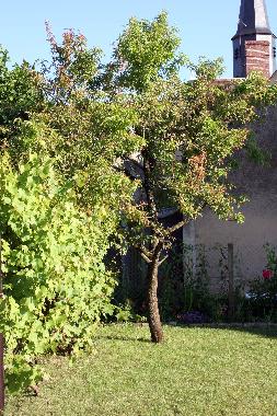 Ferienhaus in Ige (Orne) oder Ferienwohnung oder Ferienhaus