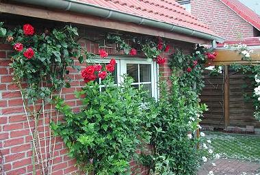 Ferienhaus in Hage (Nordsee-Festland / Ostfriesland) oder Ferienwohnung oder Ferienhaus