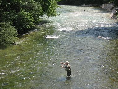 Ferienwohnung in Bohinjska Bistrica (Bohinj) oder Ferienwohnung oder Ferienhaus