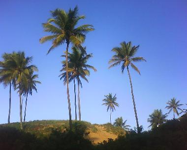Ferienhaus in Imbassai (Bahia) oder Ferienwohnung oder Ferienhaus
