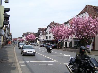 Beverungen