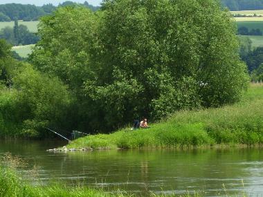 Angler an der Weser