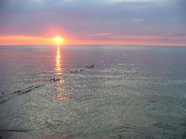 Ferienwohnung in Selenogradsk  (Kaliningradskaya Oblast) oder Ferienwohnung oder Ferienhaus