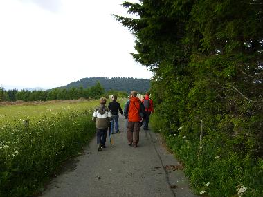 Wandern am Rothaarsteig