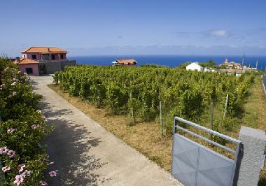 Ferienhaus in S�o Jorge (Madeira) oder Ferienwohnung oder Ferienhaus