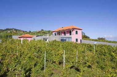 Ferienhaus in S�o Jorge (Madeira) oder Ferienwohnung oder Ferienhaus