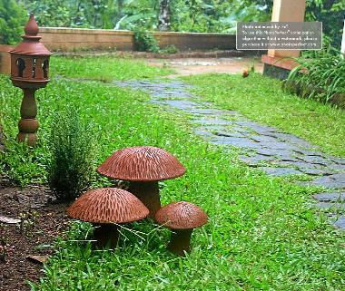Pension in Thekkady (Kerala) oder Ferienwohnung oder Ferienhaus
