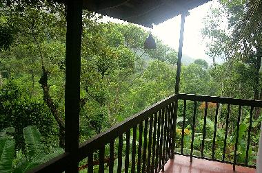 Pension in Thekkady (Kerala) oder Ferienwohnung oder Ferienhaus