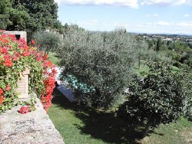 Ferienhaus in Arezzo (Arezzo) oder Ferienwohnung oder Ferienhaus