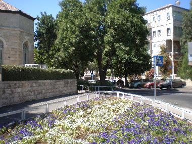 Pension in jerusalem (Yerushalayim (Jerusalem)) oder Ferienwohnung oder Ferienhaus