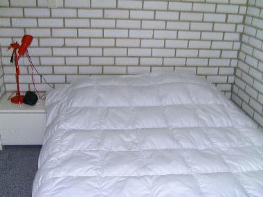 Ferienhaus in BRESKENS (Zeeland) oder Ferienwohnung oder Ferienhaus
