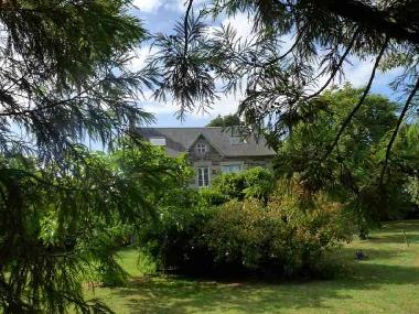 Blick vom Garten (4)