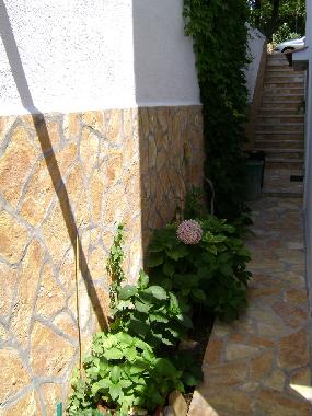 Ferienwohnung in Mandre (Zadarska) oder Ferienwohnung oder Ferienhaus