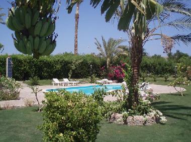 Ferienwohnung in Hurghada (Al Bahr al Ahmar) oder Ferienwohnung oder Ferienhaus