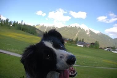 Ferienhaus in Seefeld in Tirol (Tiroler Oberland) oder Ferienwohnung oder Ferienhaus