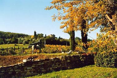 Pension in Castellina in chianti (Siena) oder Ferienwohnung oder Ferienhaus