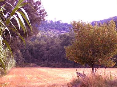 Pension in Massanes (Girona) oder Ferienwohnung oder Ferienhaus