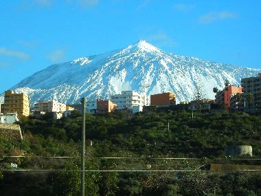 Ferienwohnung in Icod de los Vinos (Teneriffa) oder Ferienwohnung oder Ferienhaus